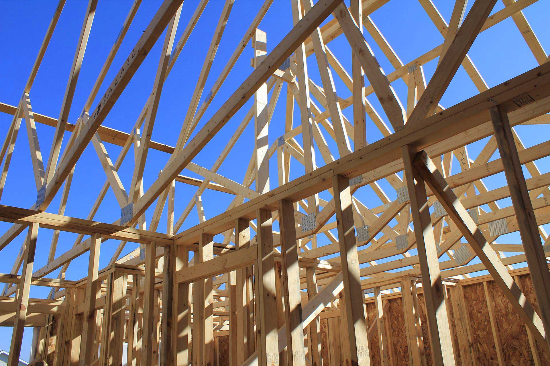 The interior view of a house under construction, with stud walls and trusses against a clear blue sky.